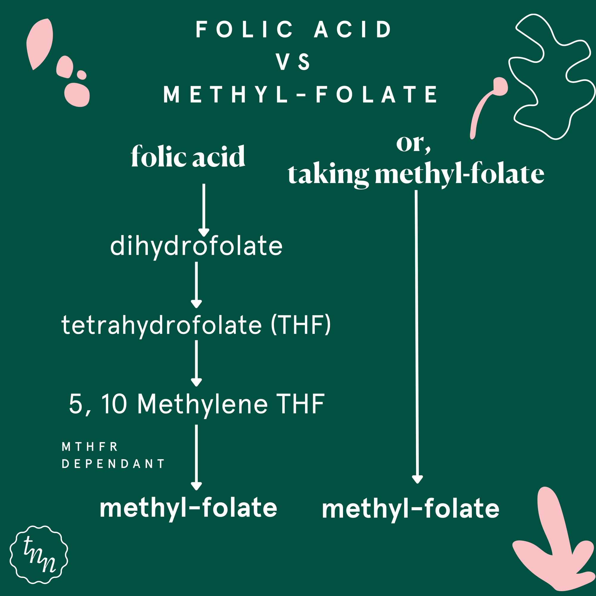 Folic Acid vs Methyl-Folate: why is one better than the other?