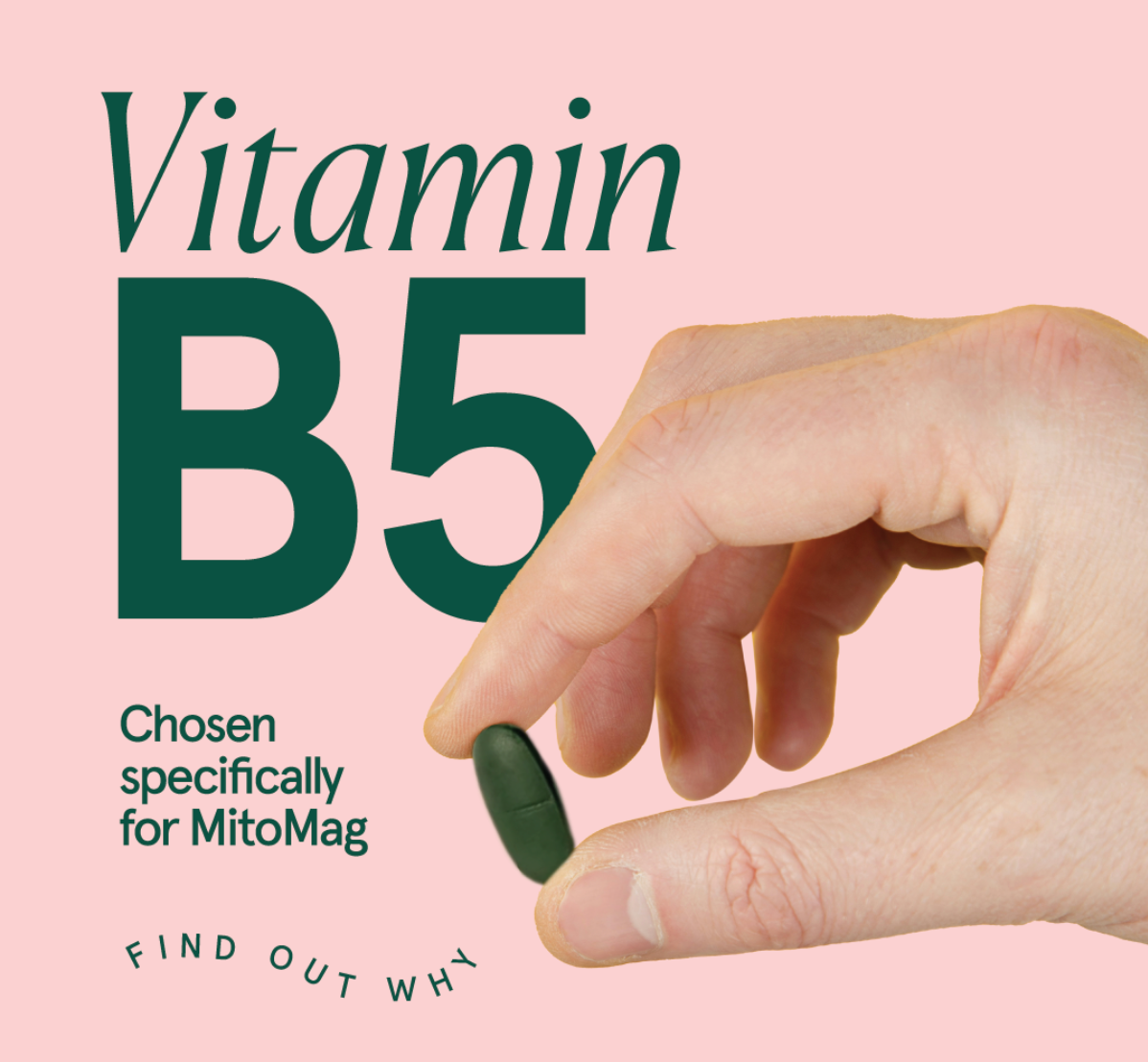 Unlocking the Power of Vitamin B5 in MitoMag